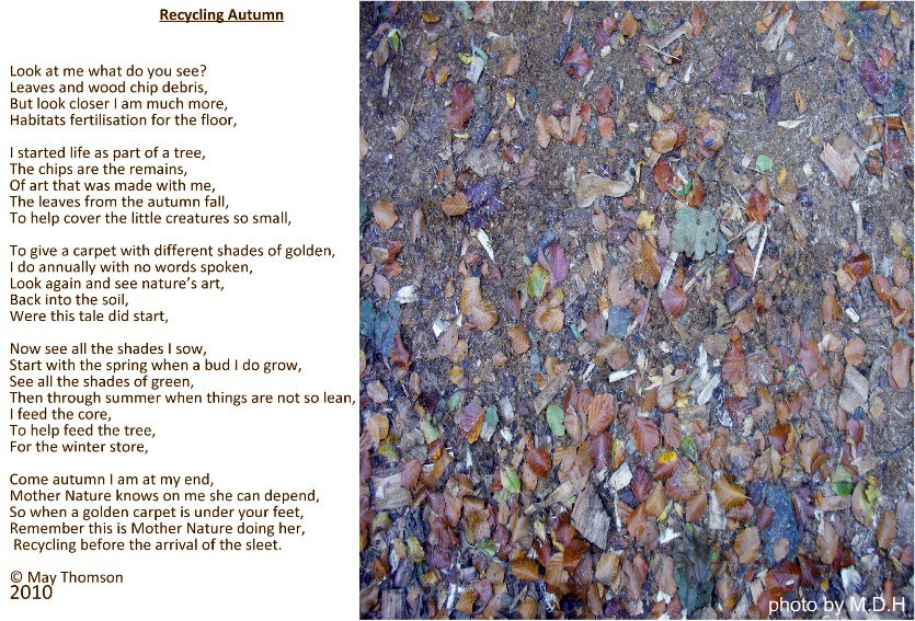 Recycling Autumn